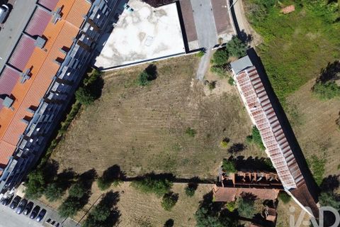 Terra a Anadia, Aveiro, Anadia - € 240.000 | Ref: 146588 - foto 13