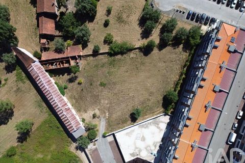 Terra a Anadia, Aveiro, Anadia - € 240.000 | Ref: 146588 - foto 14
