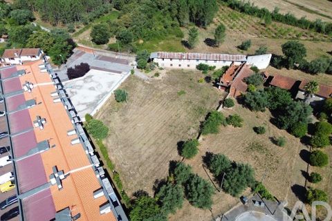 Terra a Anadia, Aveiro, Anadia - € 240.000 | Ref: 146588 - foto 15