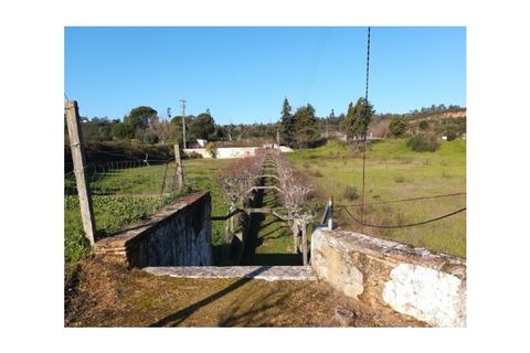 Erhvervsejendom i Tomar, Santarem, Tomar - € 2.950.000 | Ref: 21-IV-0034 - foto 29
