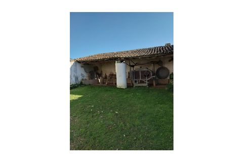 Erhvervsejendom i Tomar, Santarem, Tomar - € 2.950.000 | Ref: 21-IV-0034 - foto 39