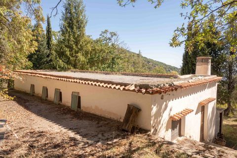 Landejendom i Valor, Granada, Valor - € 250.000 | Ref: 109726540 - foto 21
