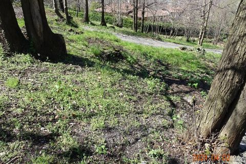 Tomt i Ello, Lecco, Ello - € 120 000 | Ref: Rif. 253T - foto 8