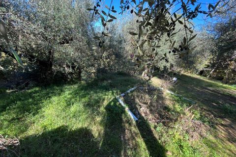 Lejlighed i Piegaro, Perugia, Piegaro - € 98.000 | Ref: p345 - foto 16