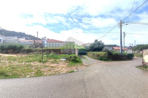 Tomt i Parceiros e Azoia, Leiria, Parceiros e Azoia - € 95 000 | Ref: 945 - foto 6