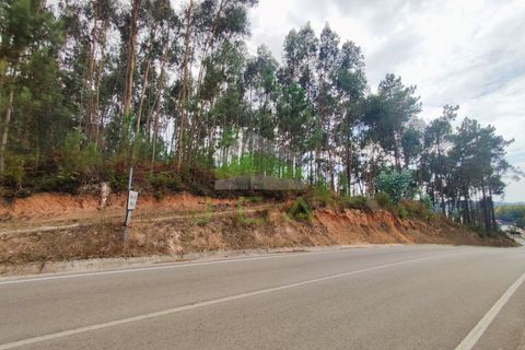 Helårsgrund i Leiria, Leiria, Leiria - € 32.500 | Ref: 1035 - foto 2