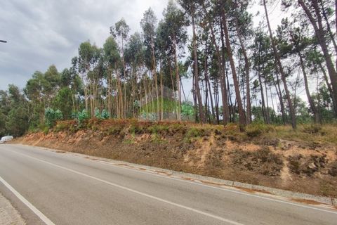 Helårsgrund i Leiria, Leiria, Leiria - € 32.500 | Ref: 1035 - foto 3