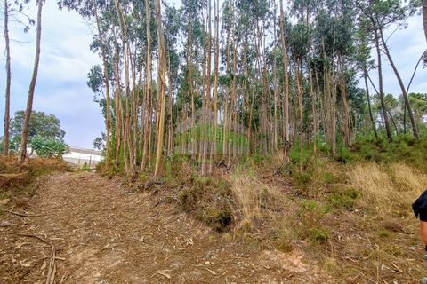 Helårsgrund i Leiria, Leiria, Leiria - € 32.500 | Ref: 1035 - foto 4