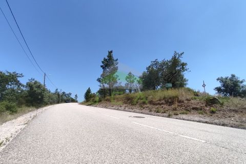 Helårsgrund i Pombal, Leiria, Pombal - € 75.000 | Ref: 973 - foto 2