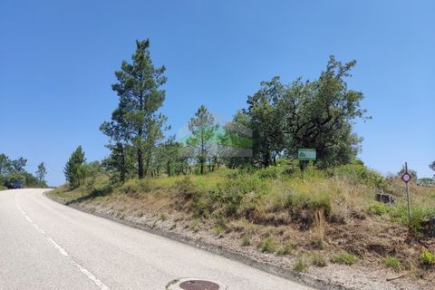 Helårsgrund i Pombal, Leiria, Pombal - € 75.000 | Ref: 973 - foto 3