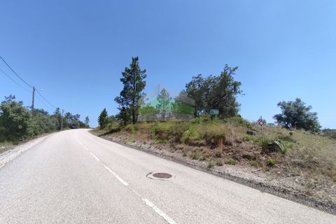 Helårsgrund i Pombal, Leiria, Pombal - € 75.000 | Ref: 973 - foto 4