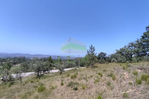 Helårsgrund i Pombal, Leiria, Pombal - € 75.000 | Ref: 973 - foto 5