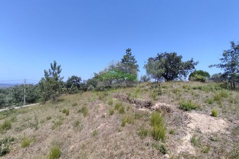 Helårsgrund i Pombal, Leiria, Pombal - € 75.000 | Ref: 973 - foto 6