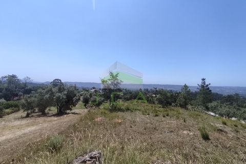 Helårsgrund i Pombal, Leiria, Pombal - € 75.000 | Ref: 973 - foto 8