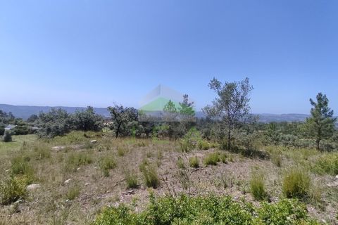 Helårsgrund i Pombal, Leiria, Pombal - € 75.000 | Ref: 973 - foto 9