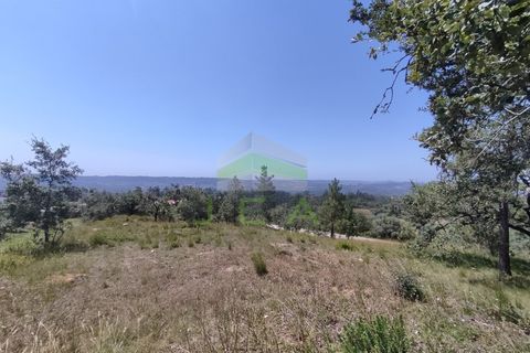 Helårsgrund i Pombal, Leiria, Pombal - € 75.000 | Ref: 973 - foto 10