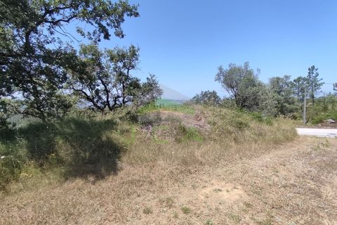 Helårsgrund i Pombal, Leiria, Pombal - € 75.000 | Ref: 973 - foto 11