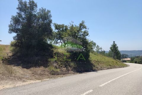 Helårsgrund i Pombal, Leiria, Pombal - € 75.000 | Ref: 973 - foto 12
