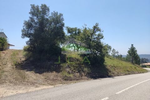 Helårsgrund i Pombal, Leiria, Pombal - € 75.000 | Ref: 973 - foto 13