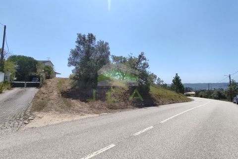 Helårsgrund i Pombal, Leiria, Pombal - € 75.000 | Ref: 973 - foto 14