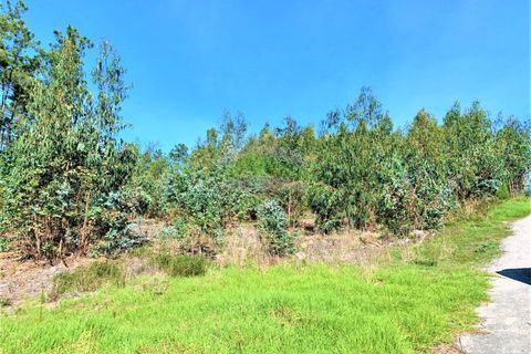 Helårsgrund i Leiria, Leiria, Leiria - € 110.000 | Ref: 718 - foto 2