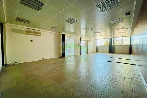 Erhvervsejendom i Ourem, Santarem, Ourem - € 1.500.000 | Ref: 981 - foto 10
