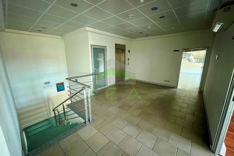 Erhvervsejendom i Ourem, Santarem, Ourem - € 1.500.000 | Ref: 981 - foto 14