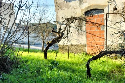 Rekkehus i Arganil, Coimbra, Arganil - € 120 000 | Ref: HAB_275 - foto 10