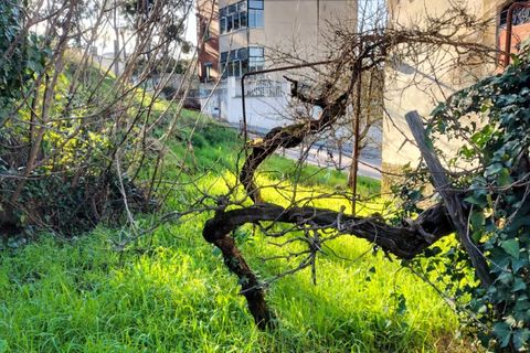 Rekkehus i Arganil, Coimbra, Arganil - € 120 000 | Ref: HAB_275 - foto 9