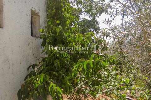Landejendom i Marvao, Portalegre, Marvao - € 70.000 | Ref: ML632 - foto 27