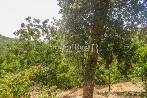 Landejendom i Marvao, Portalegre, Marvao - € 70.000 | Ref: ML632 - foto 28