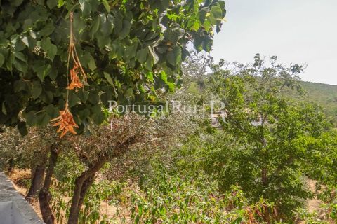 Landejendom i Marvao, Portalegre, Marvao - € 70.000 | Ref: ML632 - foto 29