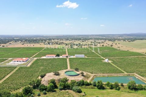 Landejendom i Redondo, Evora, Redondo - € 4.850.000 | Ref: FG435 - foto 3