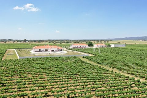 Landejendom i Redondo, Evora, Redondo - € 4.850.000 | Ref: FG435 - foto 4
