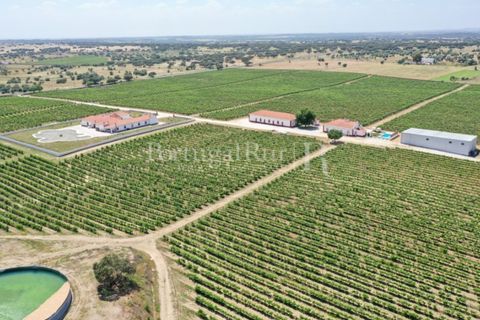 Landejendom i Redondo, Evora, Redondo - € 4.850.000 | Ref: FG435 - foto 5