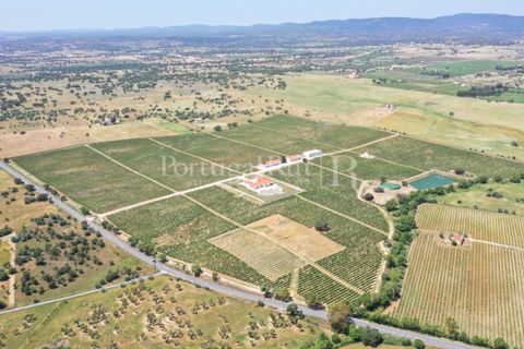 Landejendom i Redondo, Evora, Redondo - € 4.850.000 | Ref: FG435 - foto 6