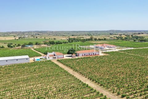 Landejendom i Redondo, Evora, Redondo - € 4.850.000 | Ref: FG435 - foto 7