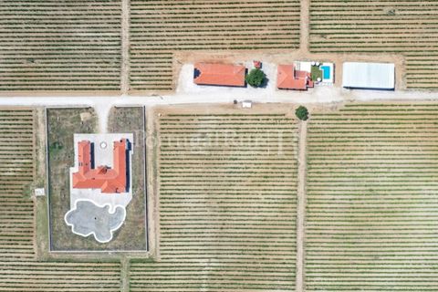 Landejendom i Redondo, Evora, Redondo - € 4.850.000 | Ref: FG435 - foto 8