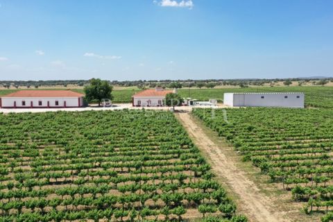 Landejendom i Redondo, Evora, Redondo - € 4.850.000 | Ref: FG435 - foto 9