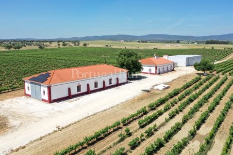 Landejendom i Redondo, Evora, Redondo - € 4.850.000 | Ref: FG435 - foto 10