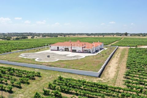 Landejendom i Redondo, Evora, Redondo - € 4.850.000 | Ref: FG435 - foto 2
