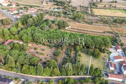 Farm i Agueda, Aveiro, Agueda - € 970.000 | Ref: FG665 - foto 3