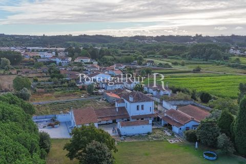 Farm i Agueda, Aveiro, Agueda - € 970.000 | Ref: FG665 - foto 4