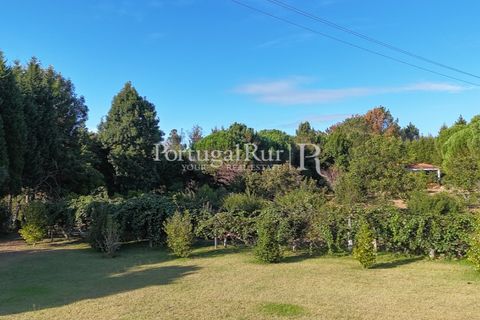Farm i Agueda, Aveiro, Agueda - € 970.000 | Ref: FG665 - foto 7