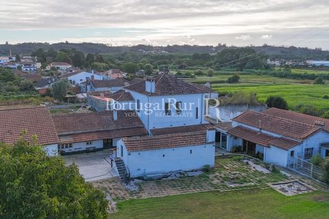 Farm i Agueda, Aveiro, Agueda - € 970.000 | Ref: FG665 - foto 8