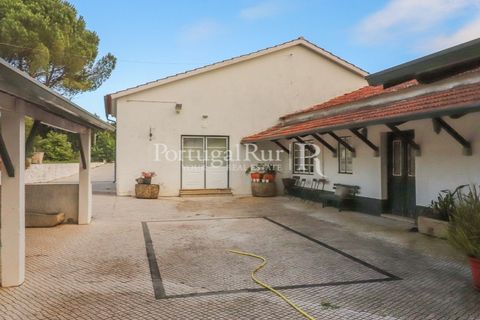 Farm i Agueda, Aveiro, Agueda - € 970.000 | Ref: FG665 - foto 9