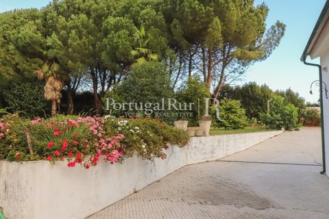 Farm i Agueda, Aveiro, Agueda - € 970.000 | Ref: FG665 - foto 12