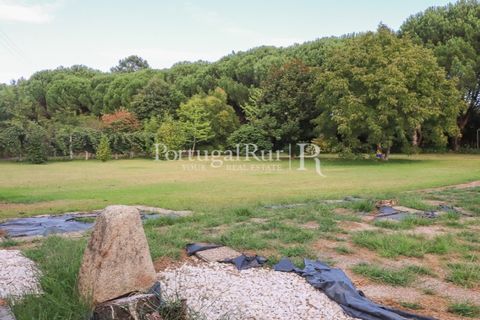 Farm i Agueda, Aveiro, Agueda - € 970.000 | Ref: FG665 - foto 14