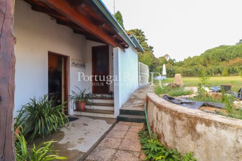 Farm i Agueda, Aveiro, Agueda - € 970.000 | Ref: FG665 - foto 18