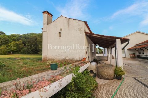 Farm i Agueda, Aveiro, Agueda - € 970.000 | Ref: FG665 - foto 19